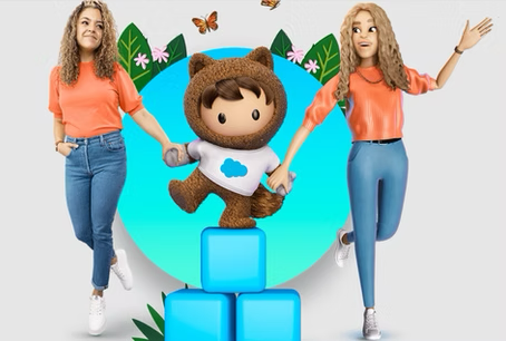 Salesforce NFT Cloud Quick Look