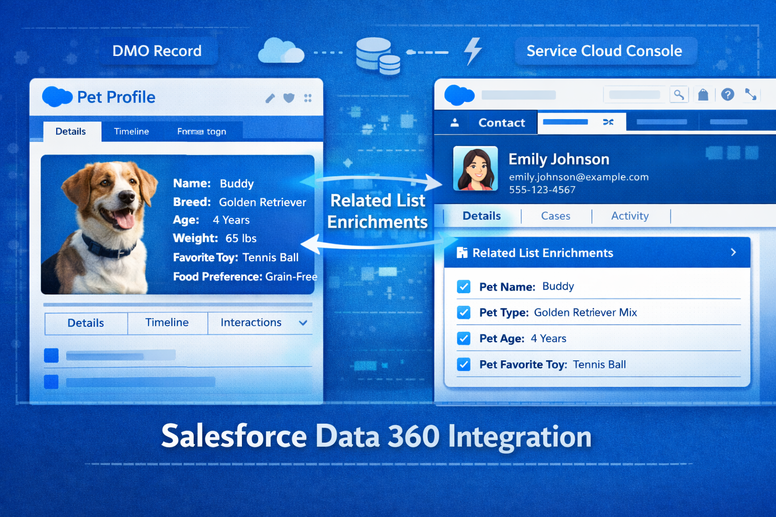 Bringing Data 360 to Life: Custom LWCs on DMO Record Pages and Bridging to Salesforce CRM